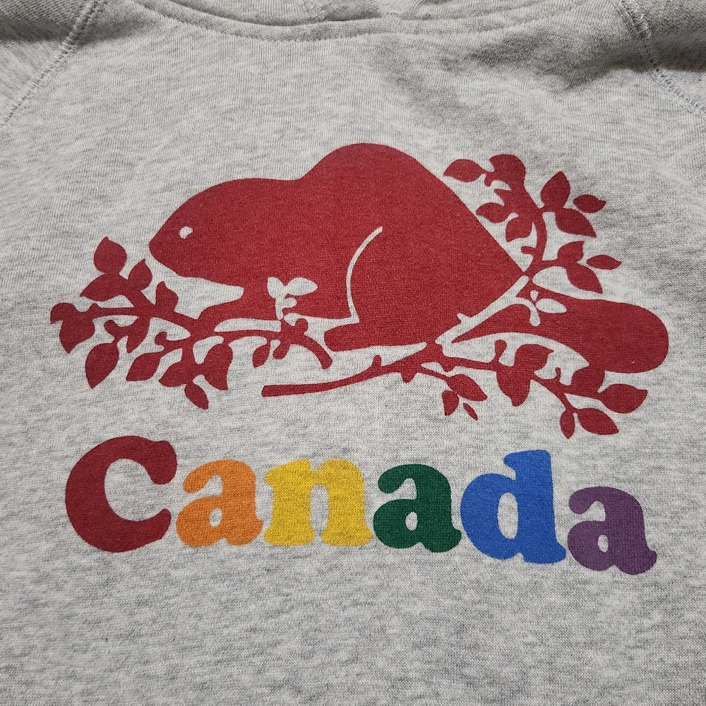 Roots Kids Gray Hoodie - Picture 2 of 5